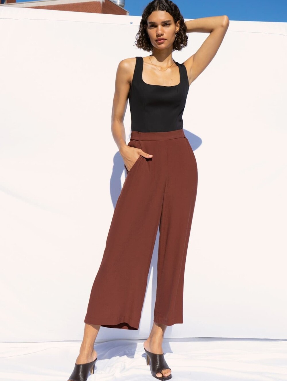 Aritiza Wilfred Faun Ankle Pants